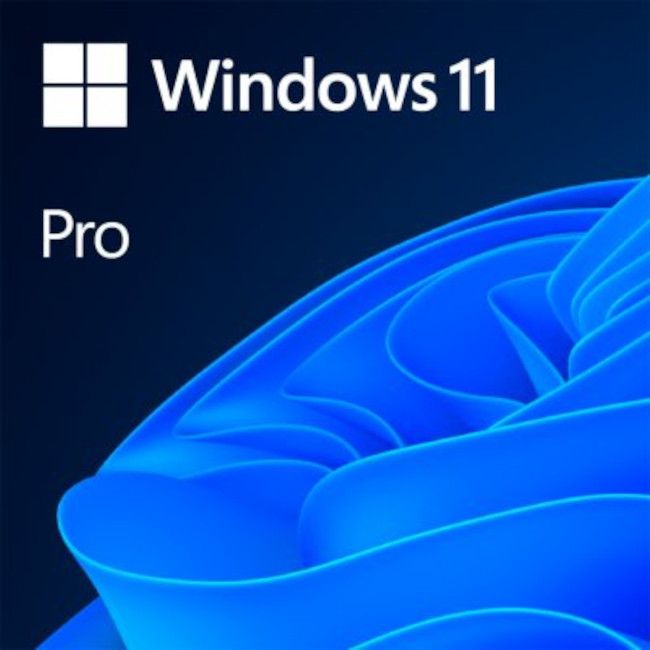Software Microsoft Windows 11 Pro x64 English OEM