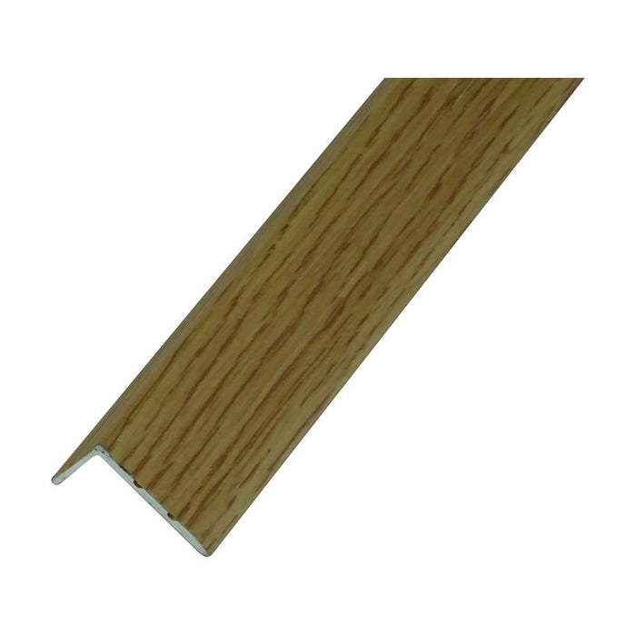 L-SHAPED PROFILE MINERA FOOT PROTECTOR