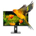 Monitor Nilox NXM24REG02 Full HD 75 Hz - Електроника Периферни и резервни части<<<Компютри|
