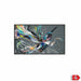 Monitor Philips 32BDL3511Q/00 32’’ Full HD 60 Hz 50-60 Hz - Електроника Периферни и резервни части<<<Компютри|