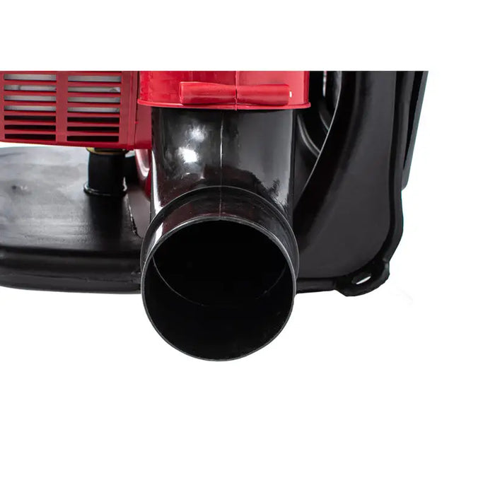 MOTOR SPRAYER 20 LITERS RAIDER RD-KMD01 2-STROKE 20.00 L - Моторни пръскачки<<<Градински