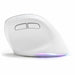 Mouse Bluestork Demi-Sphere White - Електроника Периферни и резервни части<<<Компютри| Електроника<<<BigBuy&&&Мишки &