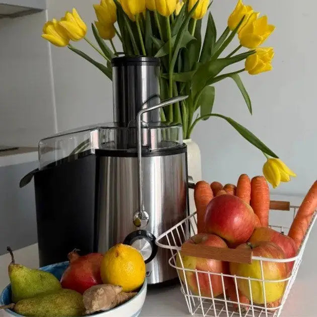 MPM MSO-18-M Juicer 1000 W Black Silver - JuicersAGD-SOK<<<Home Appliance - ProductsAGD<<<ActionPL