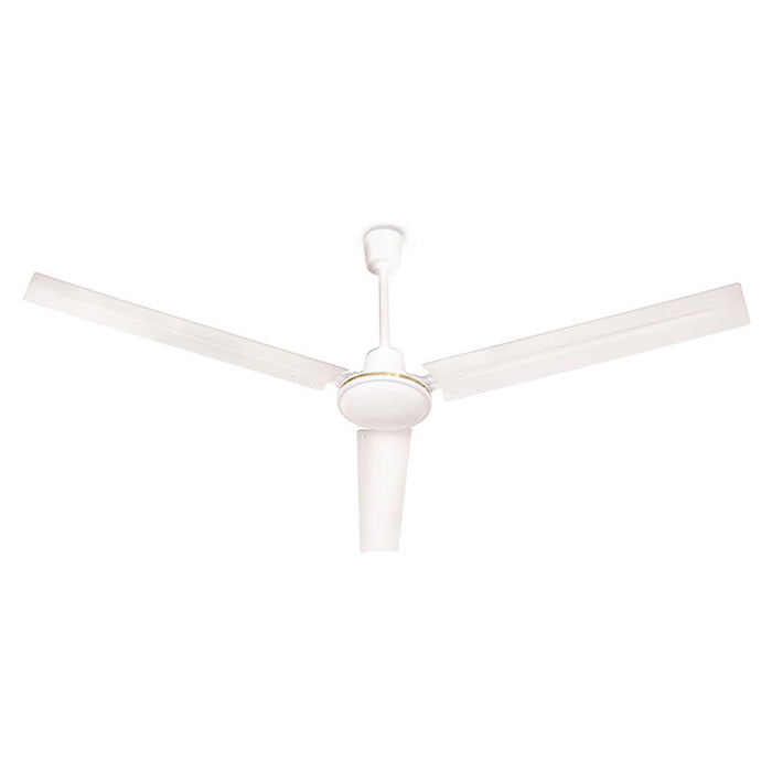 CEILING FAN 142CM WHITE 3 BLADES MUHLER MCD-4056
