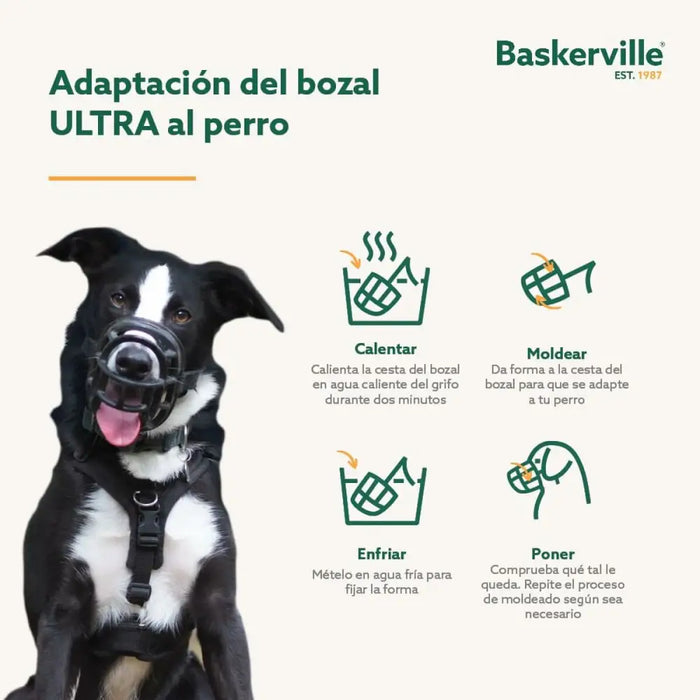 Muzzle Company of Animals Black 3 - Домашни Животни<<<Дом Градина<<<BigBuy&&&Пътуване и разходки<<<Домашни