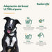 Muzzle Company of Animals Black 3 - Домашни Животни<<<Дом Градина<<<BigBuy&&&Пътуване и разходки<<<Домашни