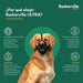 Muzzle Company of Animals Black 3 - Домашни Животни<<<Дом Градина<<<BigBuy&&&Пътуване и разходки<<<Домашни