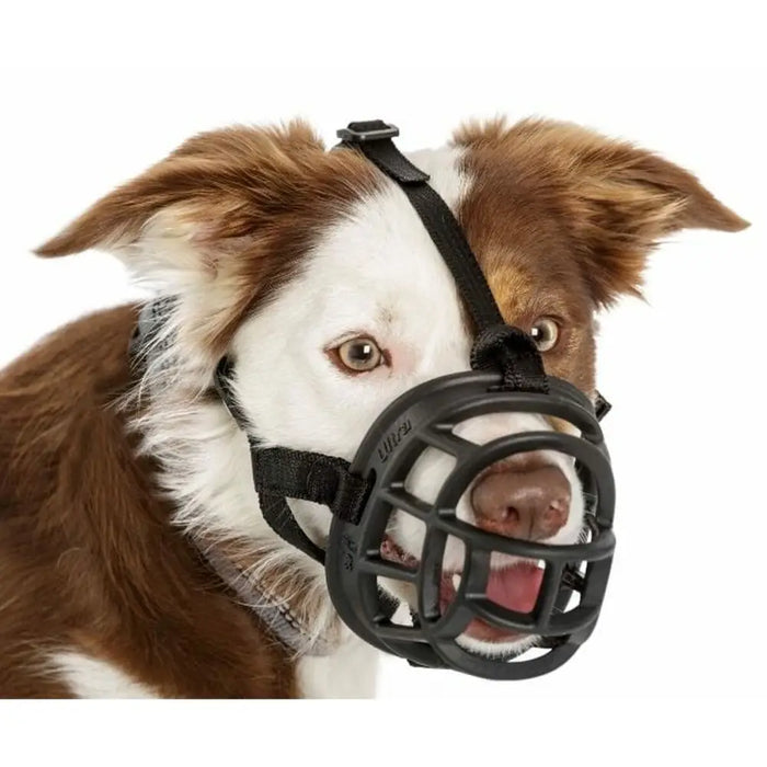 Muzzle Company of Animals Black 5 - Домашни Животни<<<Дом Градина<<<BigBuy&&&Пътуване и разходки<<<Домашни