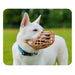 Muzzle Company of Animals Brown 9 - Домашни Животни<<<Дом Градина<<<BigBuy&&&Пътуване и разходки<<<Домашни