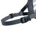 Muzzle Company of Animals Transparent 5 - Домашни Животни<<<Дом Градина<<<BigBuy&&&Пътуване и разходки<<<Домашни