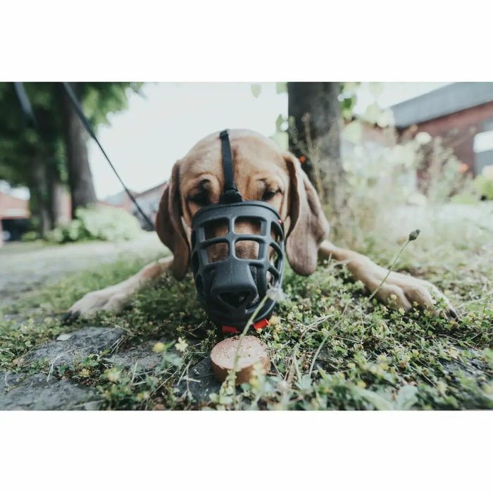 Muzzle Hunter Albury 3 Black - Домашни Животни<<<Дом Градина<<<BigBuy&&&Пътуване и разходки<<<Домашни Животни<<<Дом
