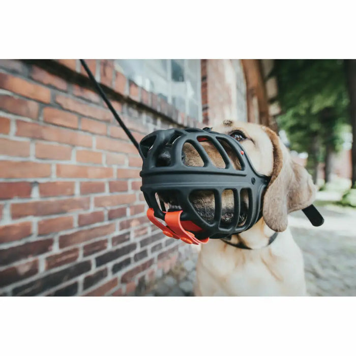 Muzzle Hunter Albury 3 Black - Домашни Животни<<<Дом Градина<<<BigBuy&&&Пътуване и разходки<<<Домашни Животни<<<Дом