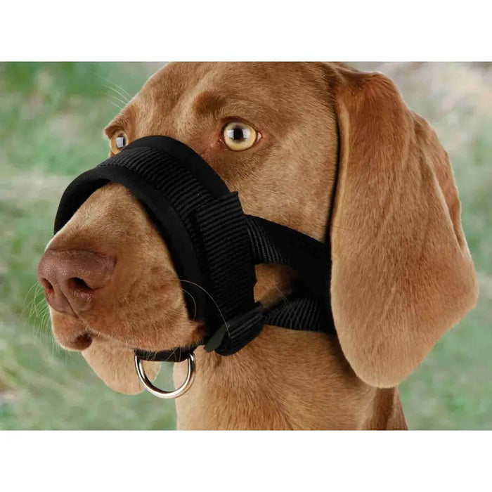 Muzzle Trixie Black XXL - Домашни Животни<<<Дом Градина<<<BigBuy&&&Пътуване и разходки<<<Домашни Животни<<<Дом