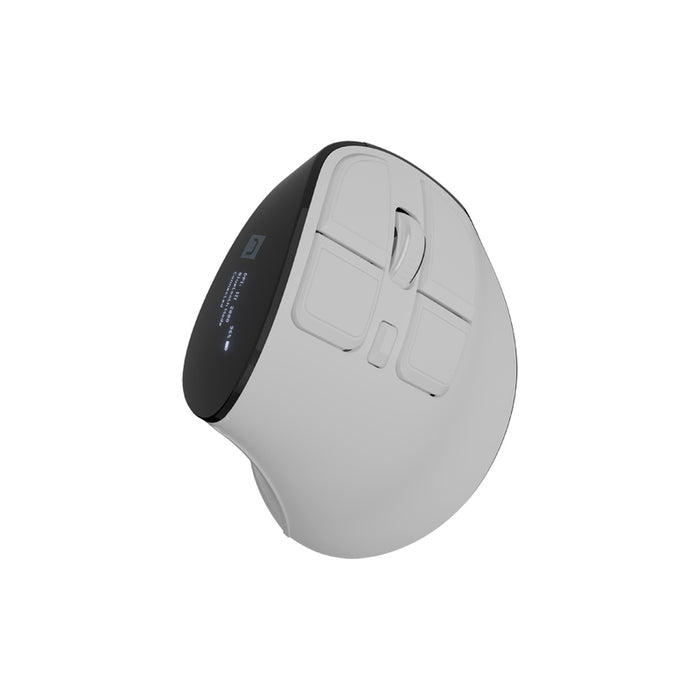 Natec Euphonie Vertical Mouse PRO Wireless  BT 5.0, 4000DPI Silent, Programmable, White