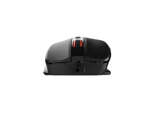 Mouse Natec
