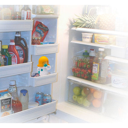 NERTHUS REFRIGERATOR ODOR TRAPPER