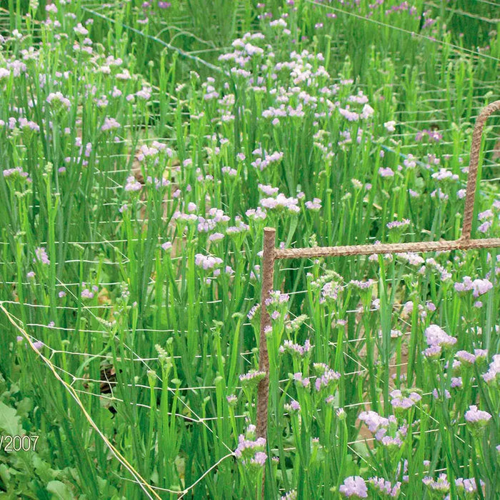 NETTING FOR WRAPING PLANTS 200CM TENAX HORTONOVA - Мрежи и покривала на метър<<<Мрежи и огради<<<Градина<<<Praktiker