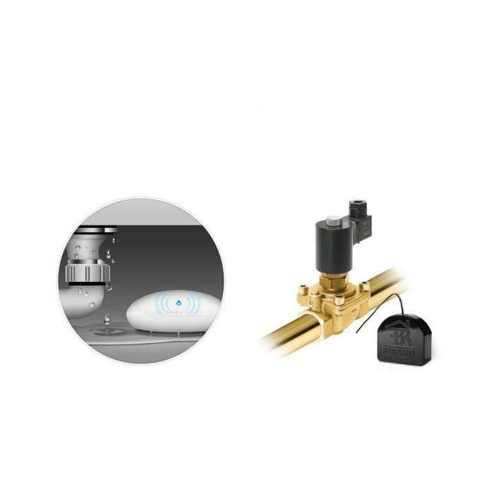 Nice Flood-Control flood and temperature sensor (FGFS-101 ZW5 EU)