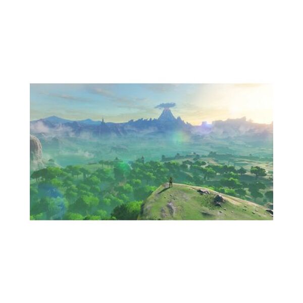 The Legend of Zelda: Breath of the Wild Game (NSW)