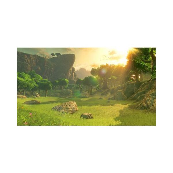 The Legend of Zelda: Breath of the Wild Game (NSW)