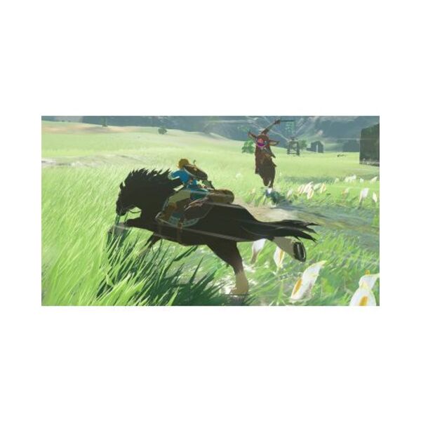 The Legend of Zelda: Breath of the Wild Game (NSW)