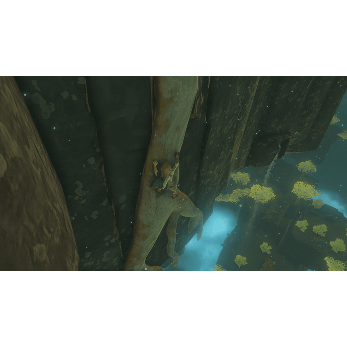 The Legend of Zelda: Tears of the Kingdom Game (NSW)