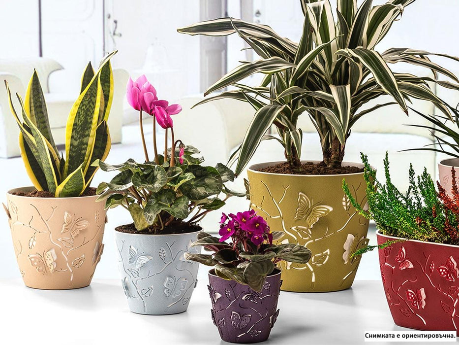 3D BUTTERFLIES FLOWER POT 11 CM