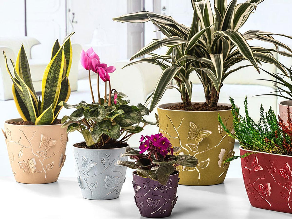 3D BUTTERFLIES FLOWER POT 14 CM