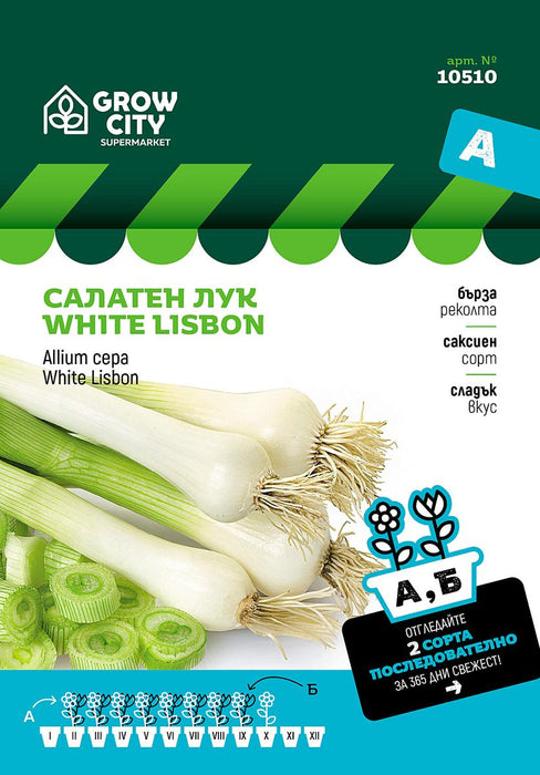 SALAD ONION SEEDS WHITE LISBON SM