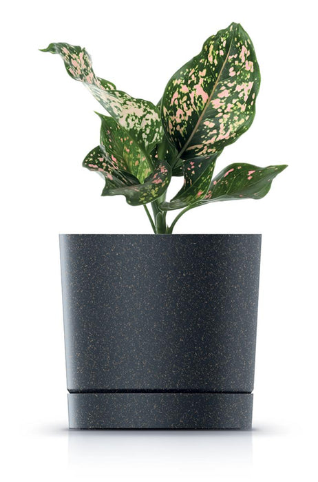 POT TUBO P 20CM ANTHRACITE