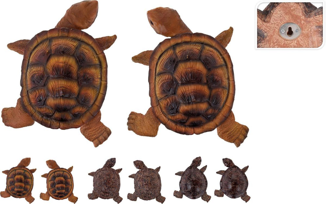 FIGURE TURTLE DIFFERENT SPECIES