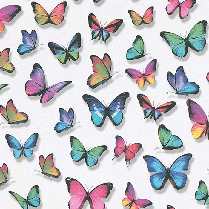COLORED BUTTERFLY DUPLEX WALLPAPER