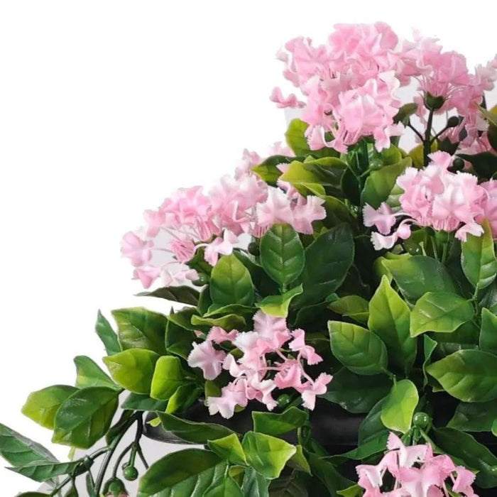 DECORATIVE PLANT INDIAN LILAC