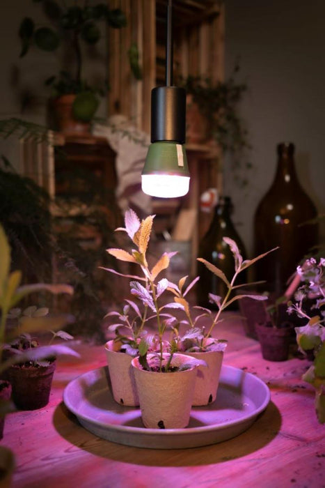 PHYTOLAMP GROW T 10W E27 OSRAM
