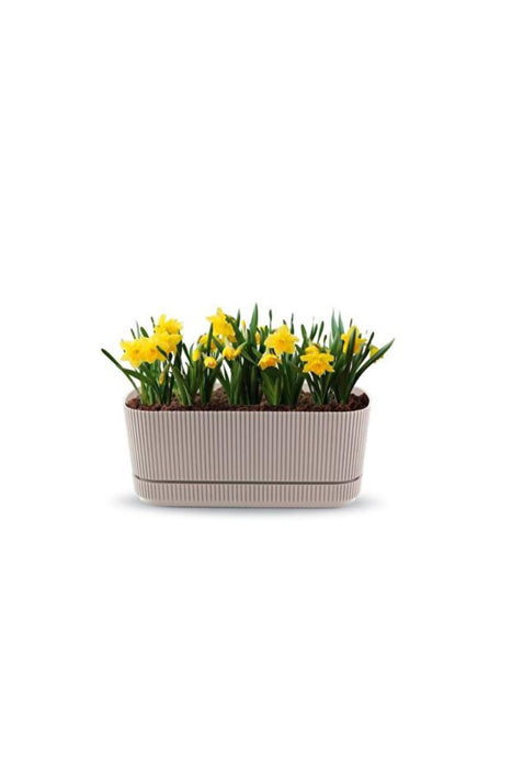 PERA PVC BOX 29 CM LATTE