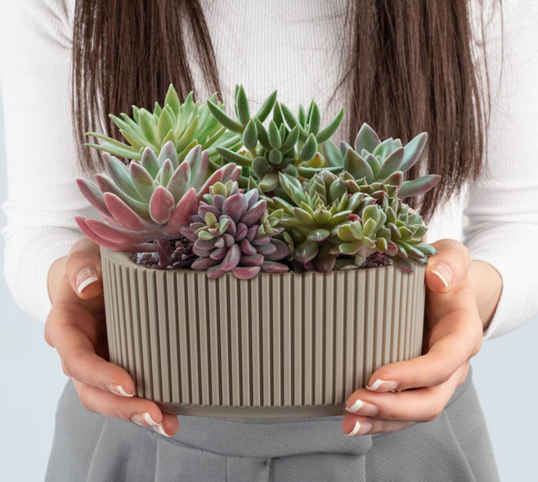 FLOWER POT PERA PVC OVAL 20 CM LATTE