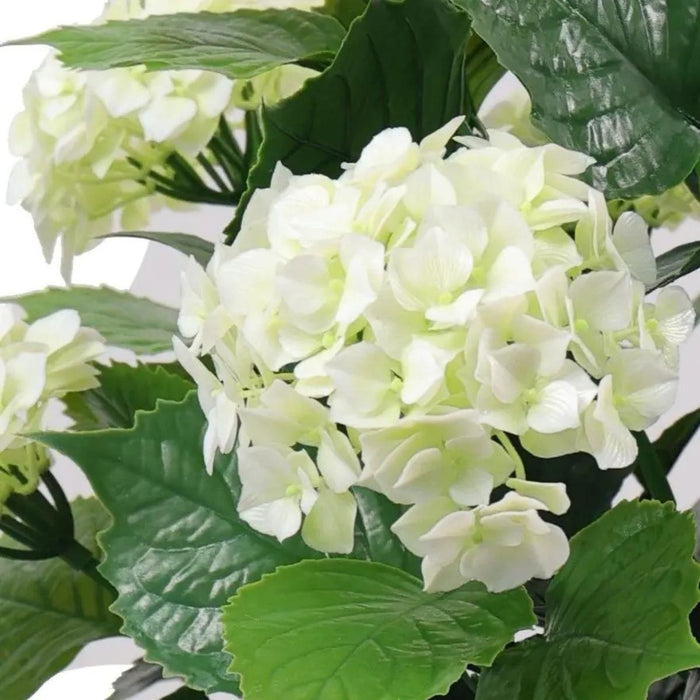 DECORATIVE PLANT IN A POT ROSSIMA HYDRANGEA