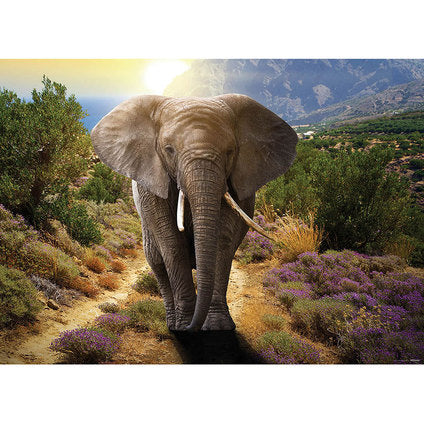 PHOTO WALLPAPER PREMIUM MAXI 160X110 CM. ELEPHANT