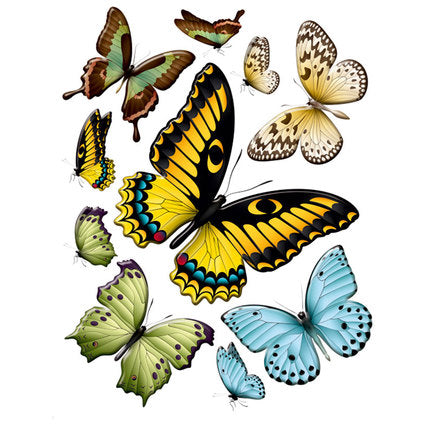 STICKER 65X85CM./1 PART BUTTERFLIES