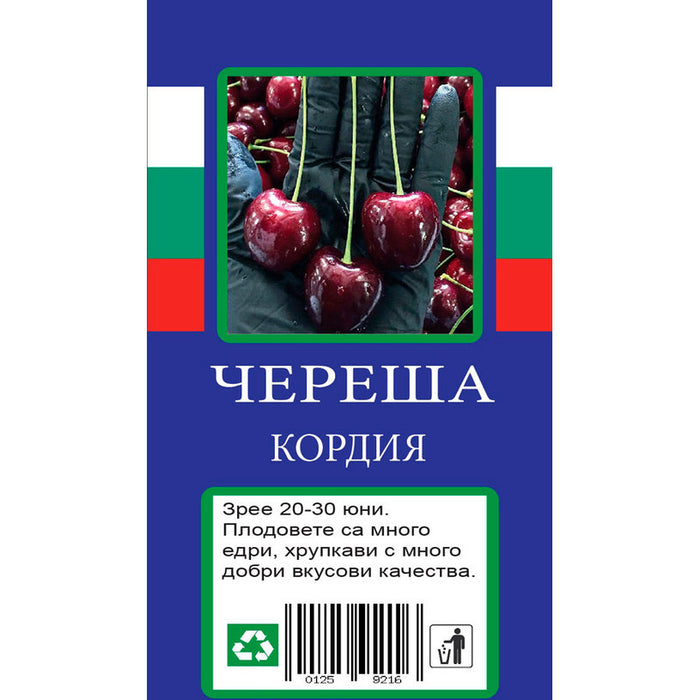 CHERRY WITH PACKAGED ROOT