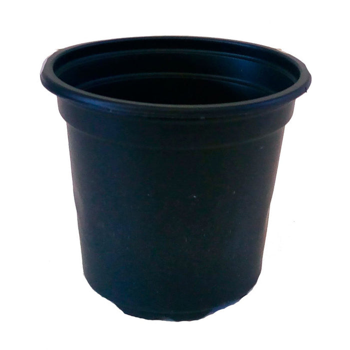 SEEDLINGS POT 8X9CM