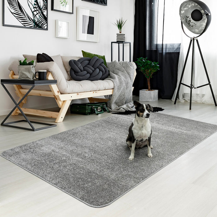 CARPET HAMILTON SILVER 120X160 CM.