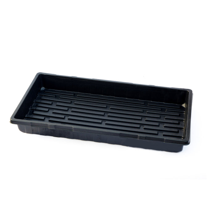 SEEDLINGS FORM MAT 54X28CM GRE