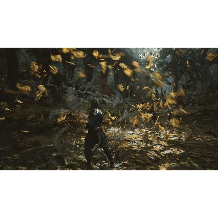 BLACK MYTH WUKONG PLAYSTATION 5 PS5 game