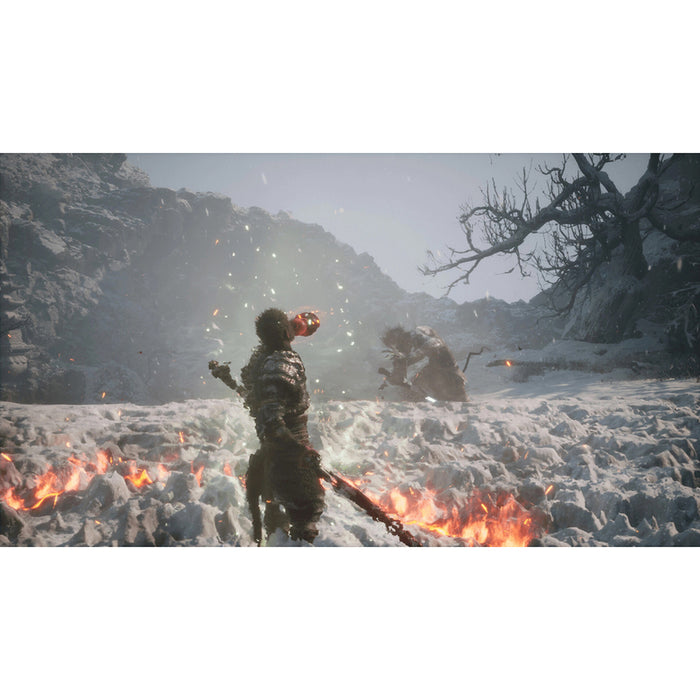 BLACK MYTH WUKONG PLAYSTATION 5 PS5 game