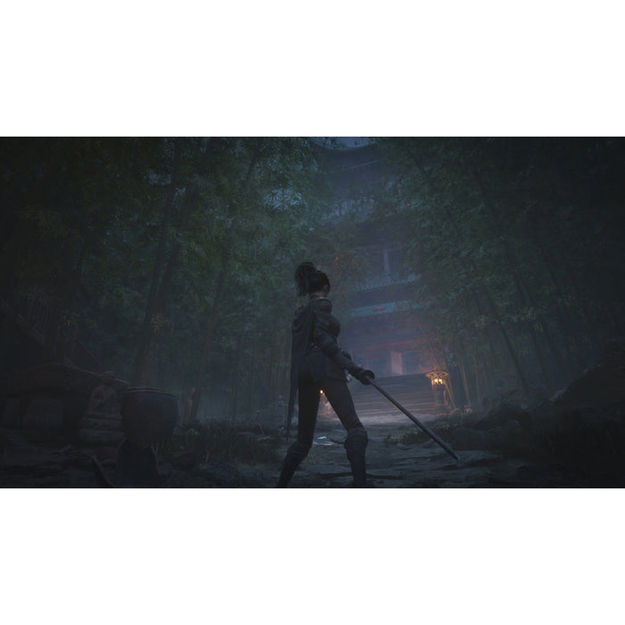 WUCHANG FALLEN FEATHERS PLAYSTATION 5 PS5 game