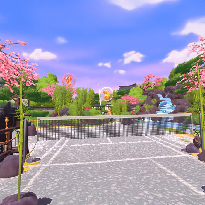 BADMINTON TIME VR PLAYSTATION 5 PS5 game