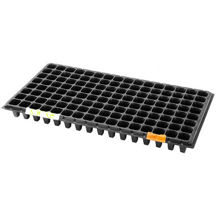 SEEDLINGS FORM 128 CELLS, 53X27.5CM