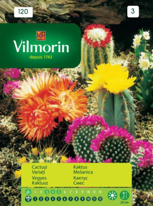 SEEDS CACTUS MIXTURE VILMORIN