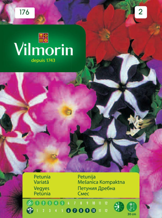 SEEDS PETUNIA SMALL WILMORE MIX